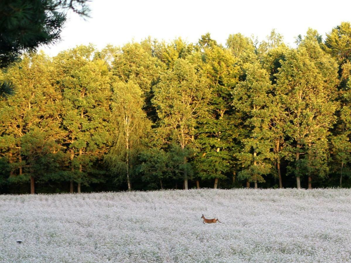Kantonia Bauernhof Bobolice (Koszalin)