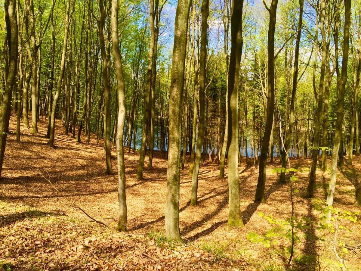 Bauernhof Kantonia *